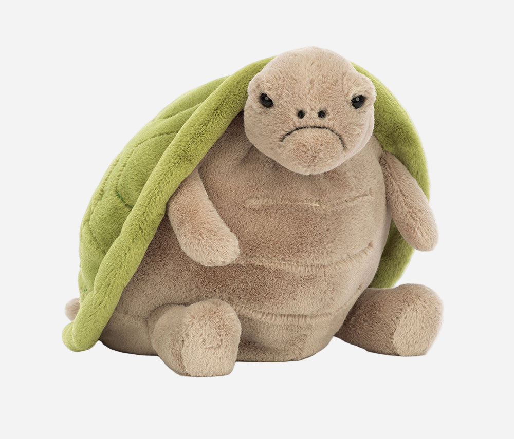 Timmy Turtle