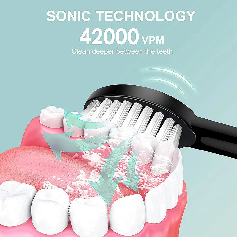 Adult Sonic Electric Toothbrush