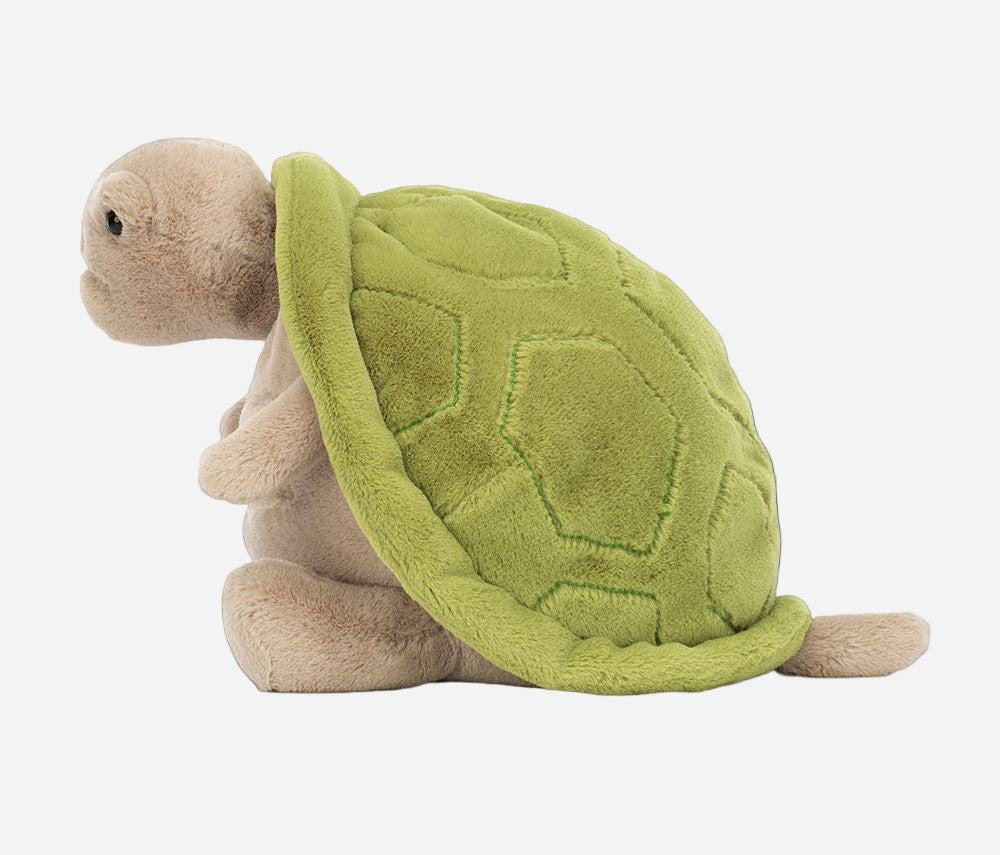 Timmy Turtle