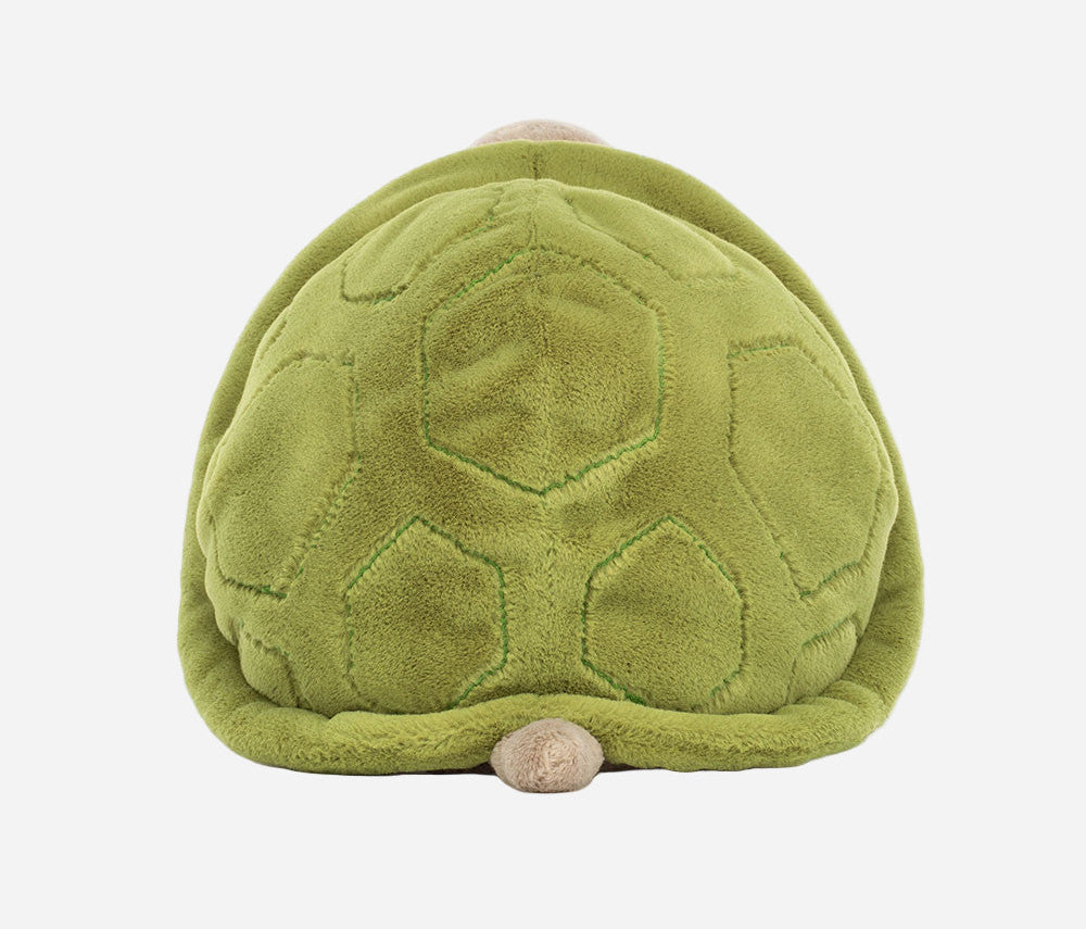 Timmy Turtle